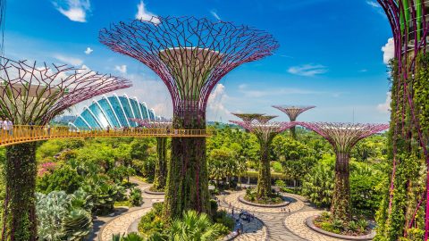 Gardens by the Bay